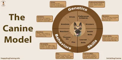 Picture of Dog Training & Canine Behavior Psychology