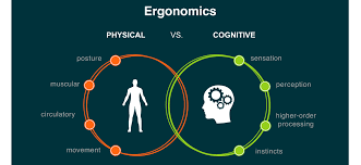 Lighting, Ergonomics, and Cognition: The Physical Architecture of E-Learning