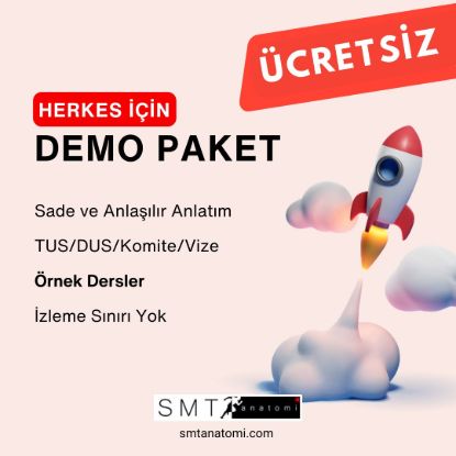 DEMO VİDEO PAKET - HERKES İÇİN ve ÜCRETSİZ! resmi