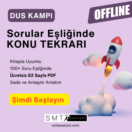 DUS Anatomi Kampı resmi
