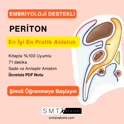 PERİTON resmi