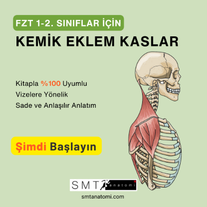 FZT 1-2'ler için Kemik-Eklem-Kas resmi