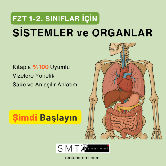 FZT 1-2'ler için Sistemler ve Organlar resmi
