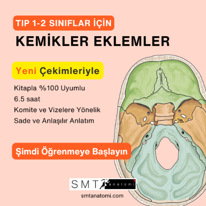 Tıp 1-2 Giriş, Kemikler ve Eklemler resmi
